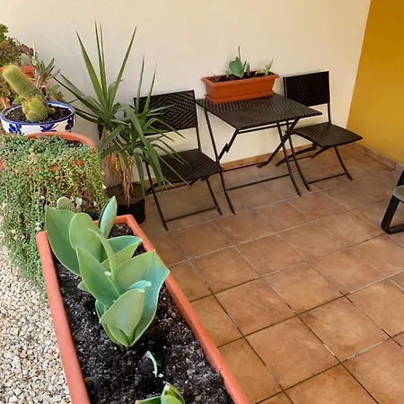 Vendégház Punta Prima 1 Room In Shared Apartment And Breakfast Torrevieja