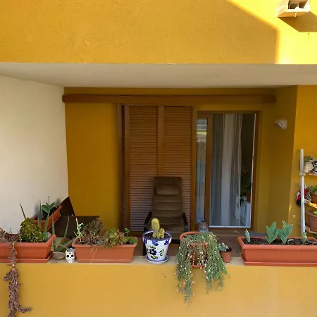 Punta Prima 1 Room In Shared Apartment And Breakfast